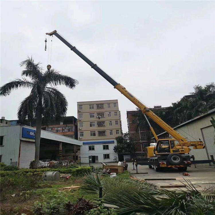 中和镇汽车吊出租多少钱？全面解析与市场行情